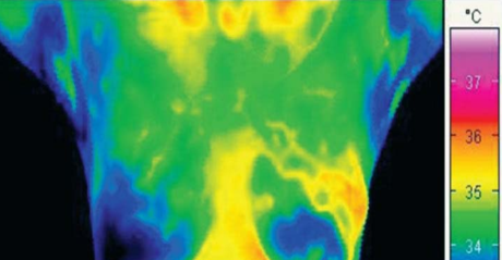 tout electical power